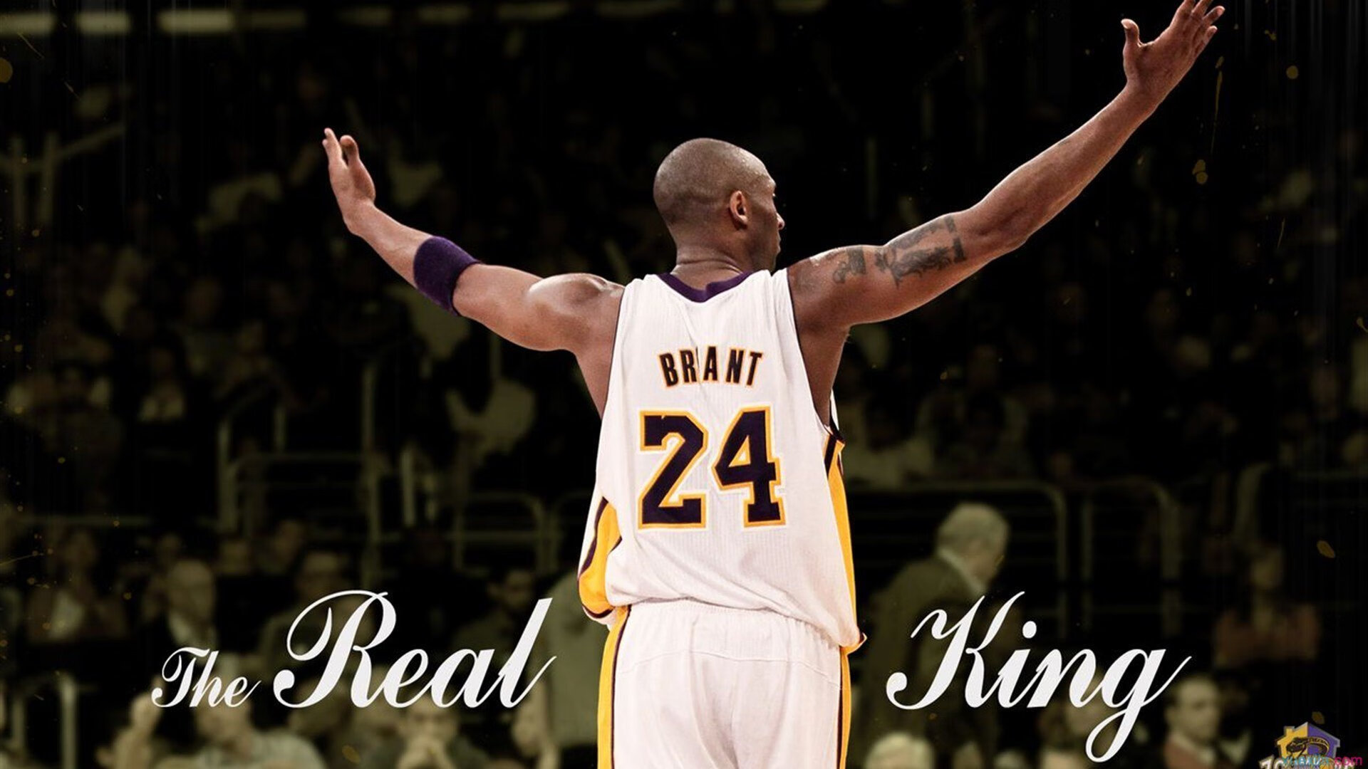 F1带动城市旅游热潮